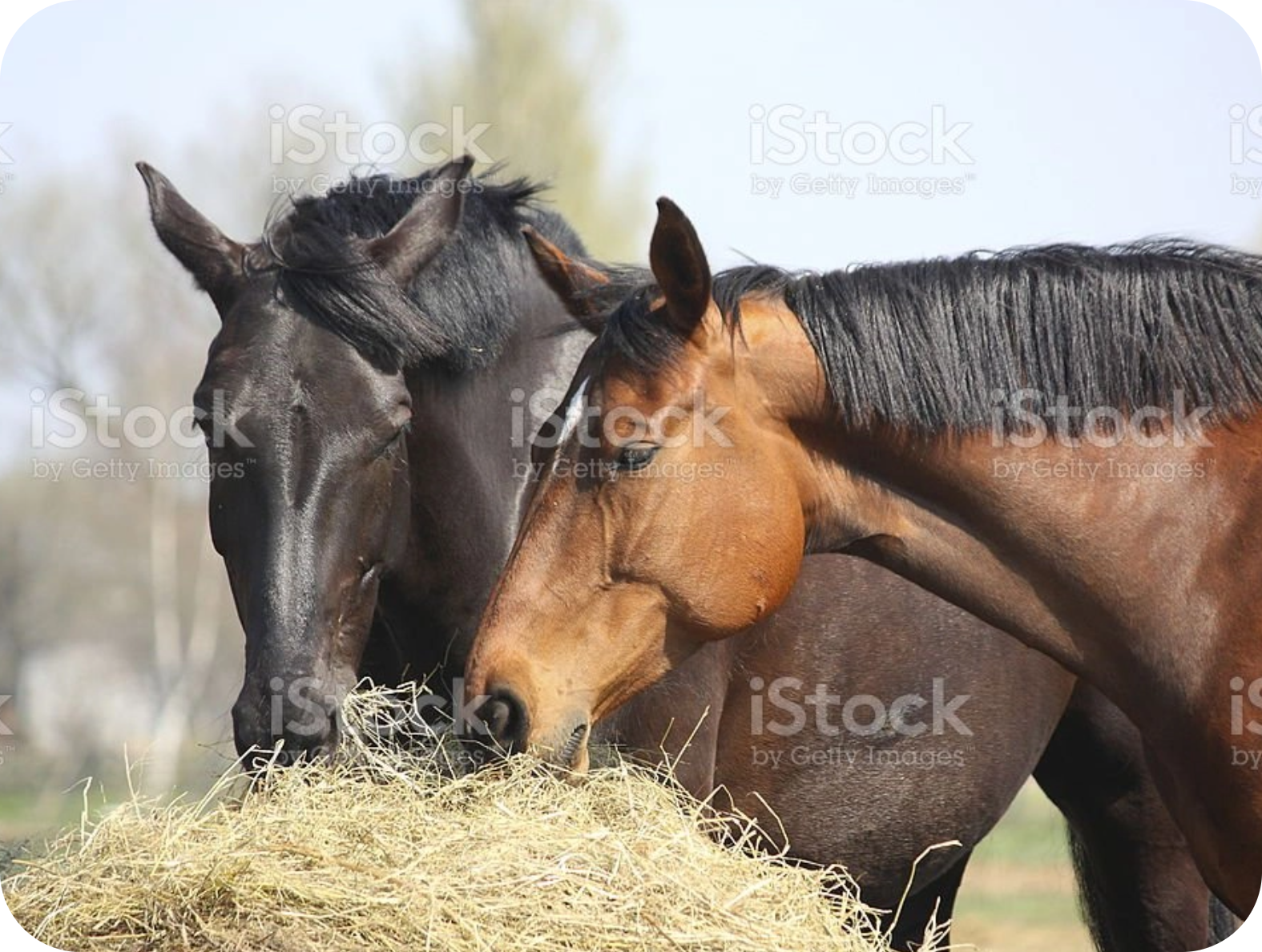 STATE-OF-THE ART EQUIPMENT